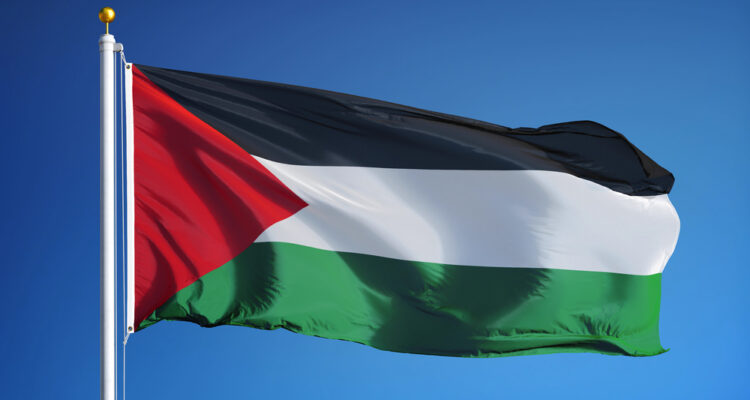 College student dies trying to raise PLO flag