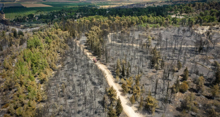 Israel’s firefighters may fall short amid wildfire threats, top officials warn