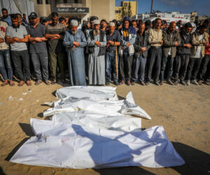 gaza casualty