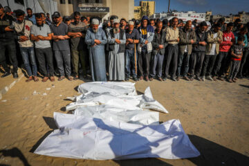 gaza casualty
