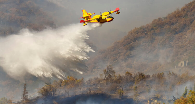 Israel asks for international help as fires mar Independence Day