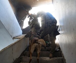 IDF Gaza