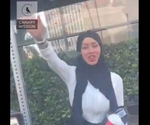 Nazi salute