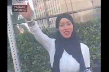Nazi salute