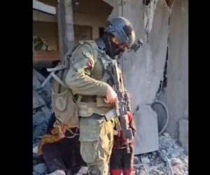 IDF gaza
