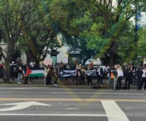 Anti-Israel protesters