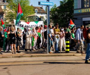 Pro-Hamas protesters