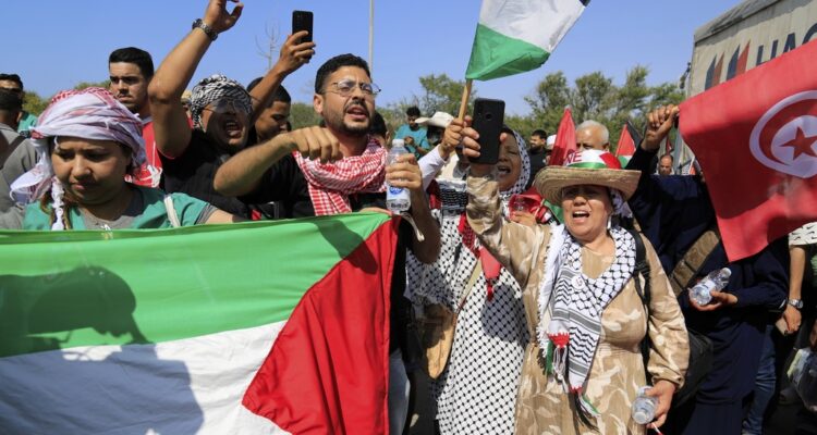 Egypt halts Gaza convoy, deports hundreds of activists