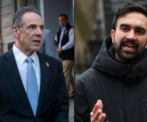 cuomo zohran