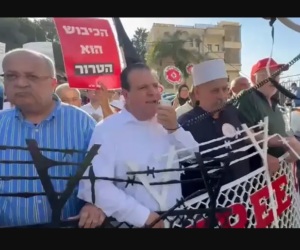 MK Ayman Odeh