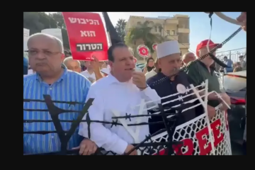 MK Ayman Odeh