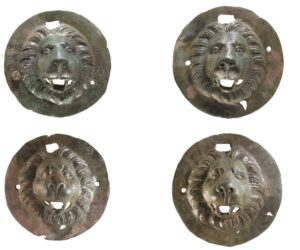 Lion head discs