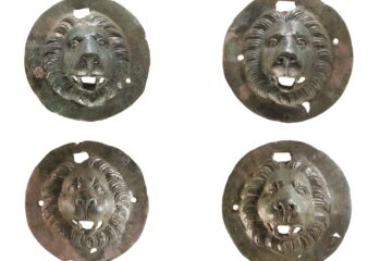 Lion head discs