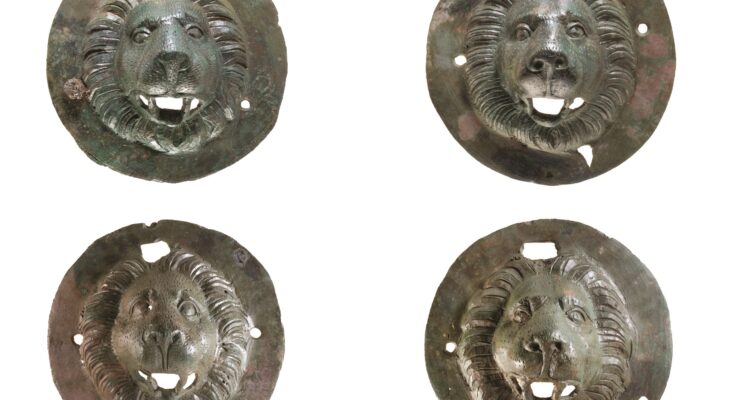 Ancient bronze discs found in central Israel grave