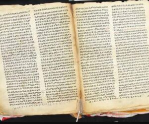 Orit Torah scrolls