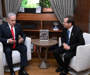 netanyahu herzog