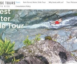 Paradise Tours PR