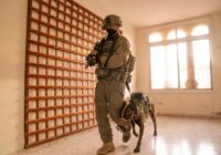 IDF judea and samaria