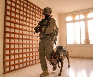 IDF judea and samaria