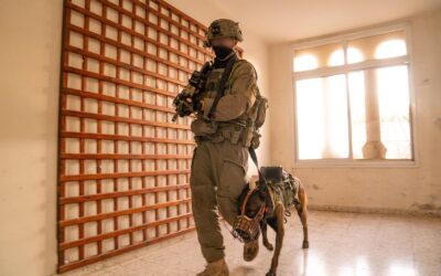 IDF judea and samaria