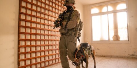 IDF judea and samaria