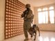 IDF judea and samaria