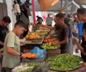 gaza market