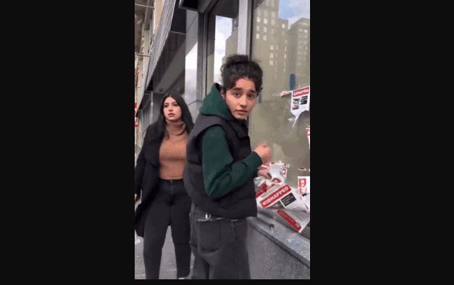 Anti-Israel vandal attacks cops, demands they ‘kill’ her