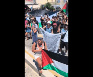 Pro-Palestinian protesters