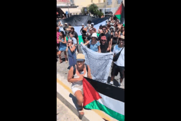 Pro-Palestinian protesters
