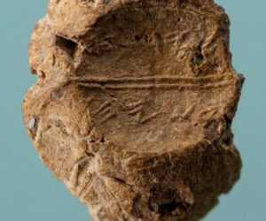 ancient seal