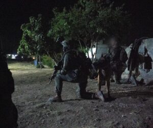 IDF soldiers Syria