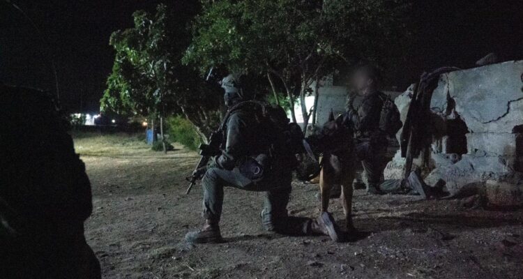 Israeli forces capture Iranian terrorists in Syria