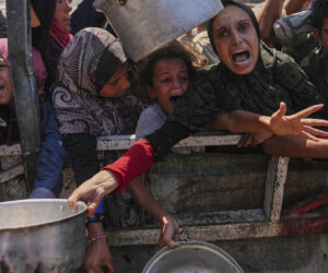 gaza food