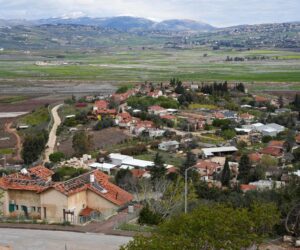 Metula