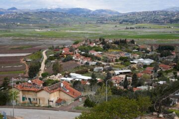 Metula