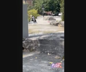 antisemitic assault