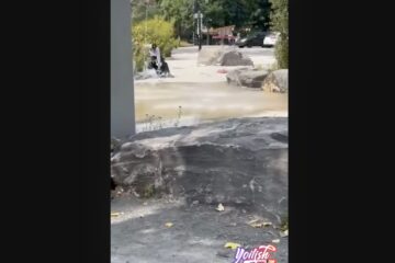 antisemitic assault