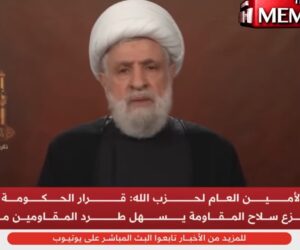 naim qassem