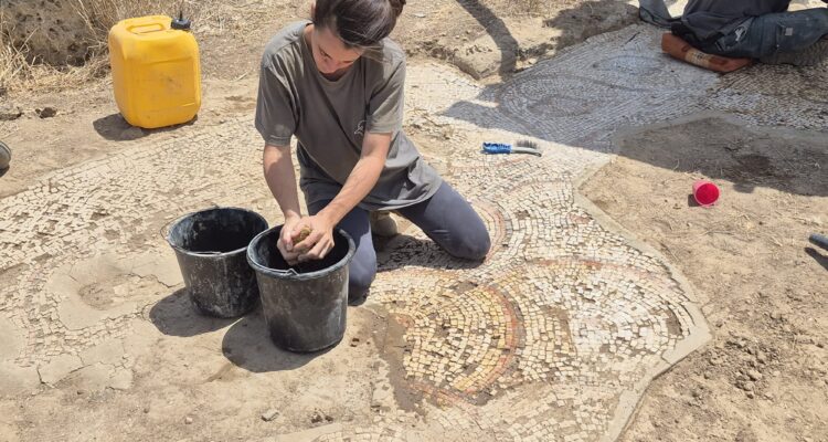 Racing against time: Rescuing the ancient mosaic in Negev region