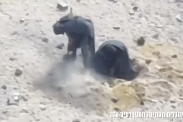hamas ied