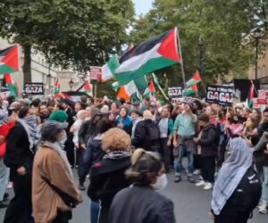 Pro-Hamas protests