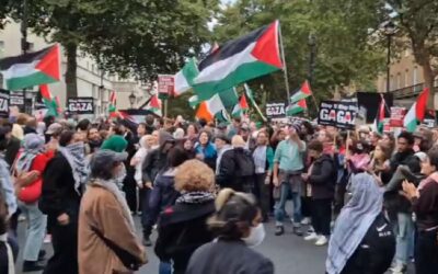Pro-Hamas protests