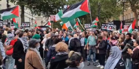 Pro-Hamas protests
