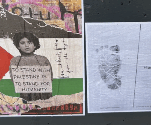 BDS vandalism