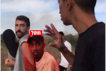 avinatan or