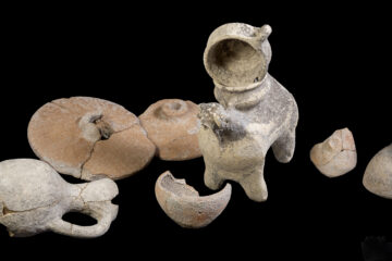Tel Megiddo discovery