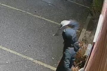 Synagogue vandalism