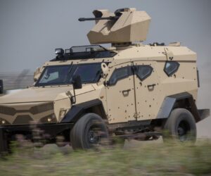 Sandcat