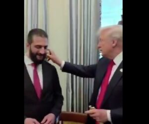 trump syria